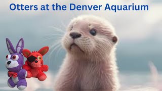 Otter at the Denver Aquarium [upl. by Eintirb]