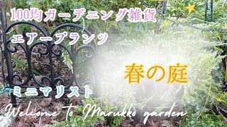 【ガーデニング】おしゃれな庭に見える100均の園芸用品見つけた♬エアプランツに蕾🌸鉢植えから地植えに♪ [upl. by Eisdnyl688]