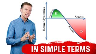 What Is Hormesis amp How It Works – DrBerg [upl. by Tildy]