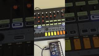 korg nts1 mk2 amp korg nts1 Behringer rd8 mkii Volca fm2 [upl. by Ppilihp593]