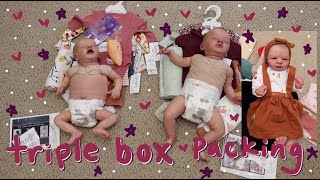 3 Reborn Baby Doll Box Packings Sending More Babies Home  Kelli Maple [upl. by Kallista]