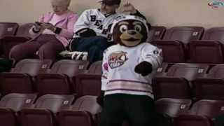 The Hershey Bear Goes Gangnam Style  112512 [upl. by Yantruoc]