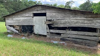 Two barn find 1969 GTOs and one is a JUDGE [upl. by Boehmer]