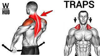 Trapezius Workout At Home  Back Wing Shoulder Exercises [upl. by Namyh61]