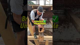 Braunfäule VS Weißfäule erkennen bei Balkenkopfsanierungen handwerk diy shorts woodworking [upl. by Isiad832]