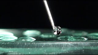 Hydrophile et hydrophobe — expérience scientifique 605 de Grains de bâtisseurs [upl. by Adlemy]