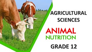 ANIMAL NUTRITION TERMS PART 2 AGRICULTURAL SCIENCES GRADE 12 DEPARTMENT OF EDUCATION CAPS [upl. by Osbourne]