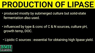 Production Of Lipase  Industrial Production Of Lipase  Microbial Production Of lipase [upl. by Aivalf]