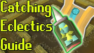 Ironman guide to eclectic implings [upl. by Niledam]