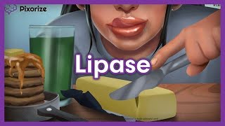 Lipase Mnemonic for MCAT [upl. by Fitting]