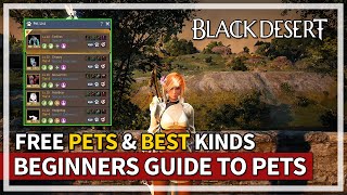 Beginners Guide to Pets amp Best Types to Get  Black Desert [upl. by Berti]