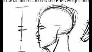 Drawing Lesson 3  Human Head  FrontSide [upl. by Sihon]