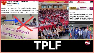 Tigray Media Network ሰላማዊ ሰልፊ  ማእሰርትን አብ ትግራይ Apr 5 2024 [upl. by Estelle]