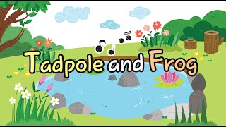 Tadpole and Frog  Tadpole Song  English Kids Songs  COMICOMI [upl. by Massimo]