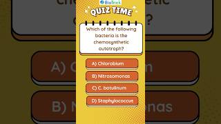 Kingdom Monera  Chemosynthetic Autotrophic Bacteria  Biological Classification  Class 11 Biology [upl. by Trah734]