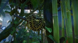 Planet Zoo 10  Neue Tiere [upl. by Reppiks]