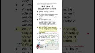 Half lives of coagulation factors [upl. by Dellora]