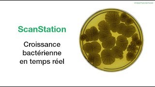 INTERSCIENCE  ScanStation croissance bactérienne  FR [upl. by Anaujnas]