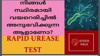 Rapid Urease Test RUT  CLO Test  Helicobacter Pylori Malayalam [upl. by Akimert]