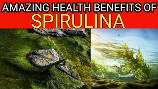 BENEFITS OF SPIRULINAIMMUNITY BOOSTER OMEGA 3 GREEN ALGAE DETOXIFYING BODY [upl. by Uhthna]