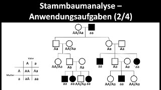 Stammbaumanalyse  Anwendungsaufgaben 24  Biologie Oberstufe [upl. by Britney]