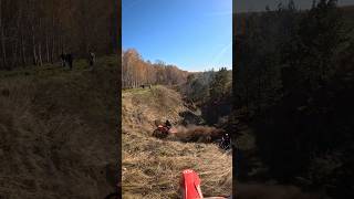 heavyenduro endurohardtail hasky motocross endurofactory endurocross [upl. by Azitram]