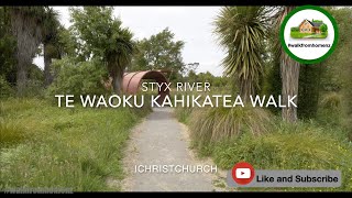 4K New Zealand  Te Waoku Kahikatea Walk [upl. by Siaht]