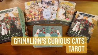 Grimalkin’s Curious Cats Tarot  Full Flip Through [upl. by Dorice]