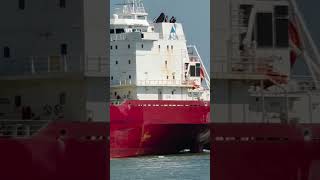 LPG tanker ship ♥️♥️♥️ vessel bollywood song viralvideo foryou oiltanker viralshorts shorts [upl. by Earahs537]