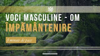 Sunetul OM Vocal Masculin 🎧🌿  ÎMPĂMÂNTENIRE amp Activare QiHara  8 Minute de Pace  Baie de Sunete [upl. by Ayirp583]