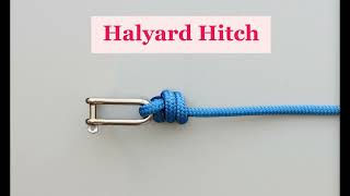 Learn the Halyard Hitch commonly used on boats for attaching the halyard to the top of a sail [upl. by Christoph468]