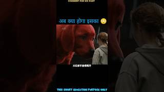 the big red dog full movie Explain in fifth part। reddog movie shorts [upl. by Olwen]