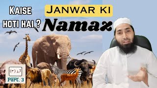 janwar ki namaz  how to pray in islam  animals prayer  Muslim prayer [upl. by Donia]