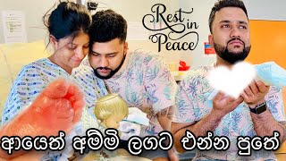 සති 21න් ඉපදුනු මගේ පුතාලා👼ආයෙත් අම්මි ලගට එන්න පුතේ🫀 Birth story🥹 anneyelina birth missyou [upl. by Anaiuq]