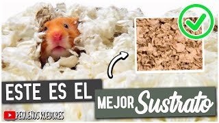 Cual es el MEJOR SUSTRATO para HAMSTERS [upl. by Munniks]