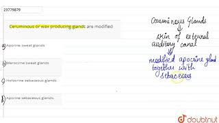 Ceruminous or wax producing glands are modified [upl. by Royo96]