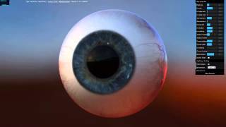 WebGL Eye Texture Raytracer [upl. by Nesnej]