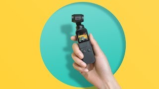 DJI  Meet Osmo Pocket [upl. by Adli]