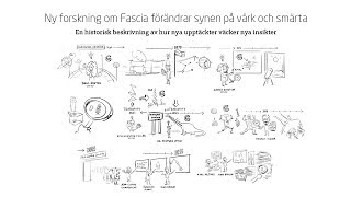 Vad är Fascia Animation om hur ny forskning förändrar synen på värk amp smärta [upl. by Verger]