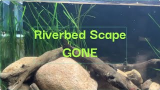 Riverbed Aquascape GONE [upl. by Retnyw44]