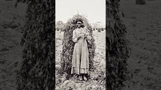 A young woman poses with freshly harvested peanuts c 1900 [upl. by Paymar864]