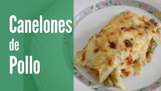 CANELONES DE POLLO receta con Verduras  Receta fácil [upl. by Collie611]