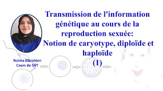 SVTBacBiofTransmission de linformation génétique Notion de caryotype diploïde et haploïde [upl. by Darach421]