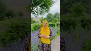 Study in Denmark without IELTS denmark viralvideo studyabroadguide withoutielts europe [upl. by Oj18]