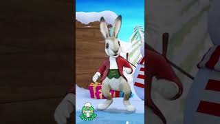 Unbelievable Watch These Animals Do Their Christmas Dance  Fun Videos For Kids [upl. by Coppola]