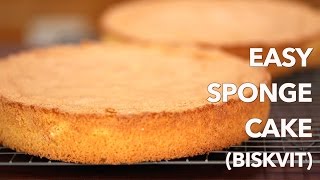 Easy European Sponge Cake Recipe Biskvit  ONLY 4 Ingredients [upl. by Malha198]