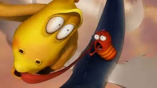 Pitapat 2  LARVA  Cartoons for Kids  WildBrain  Kids TV Shows Full Episodes [upl. by Naelcm202]