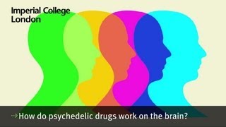 How do psychedelic drugs work on the brain [upl. by Reilly]