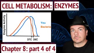 Cell Metabolism Enzymes [upl. by Alak]