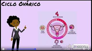 Ciclo Menstrual [upl. by Sallee139]